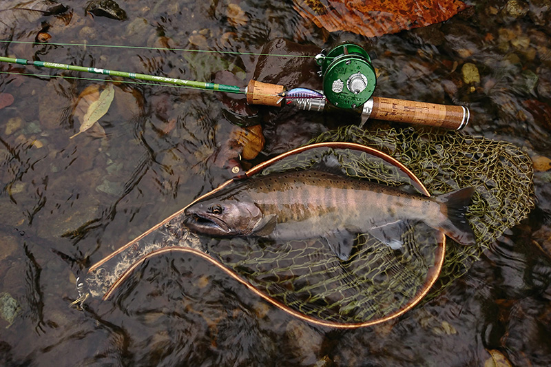 カスケット マークスパイダー CASKET MSB 49ML 【公式通販】