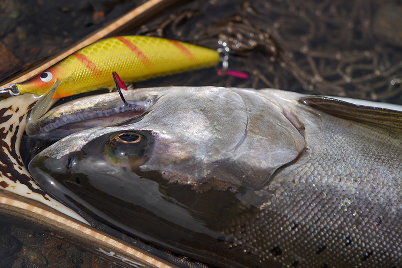 trad60hs｜ニュース（総合ブログ） ｜Casket カスケット