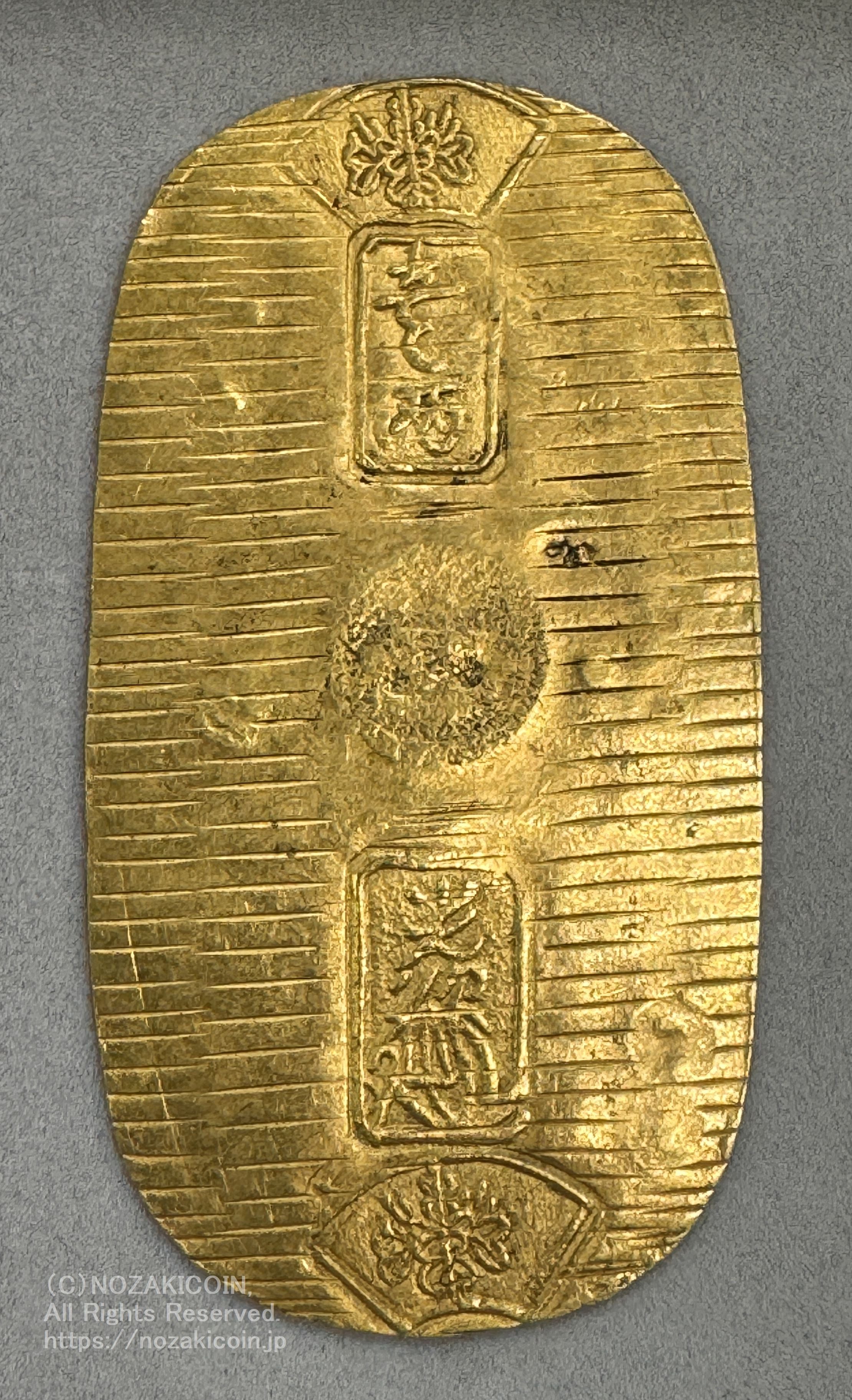 IMG_8900.jpg?v=1725778690