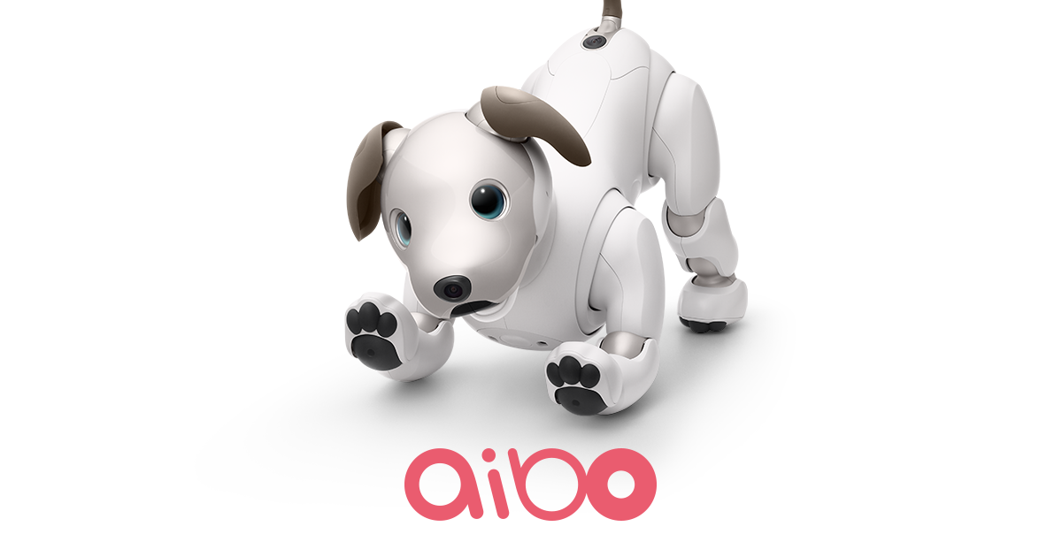 aibo キャラメル エディション | aibo