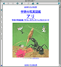 日本産アリ類画像データベース