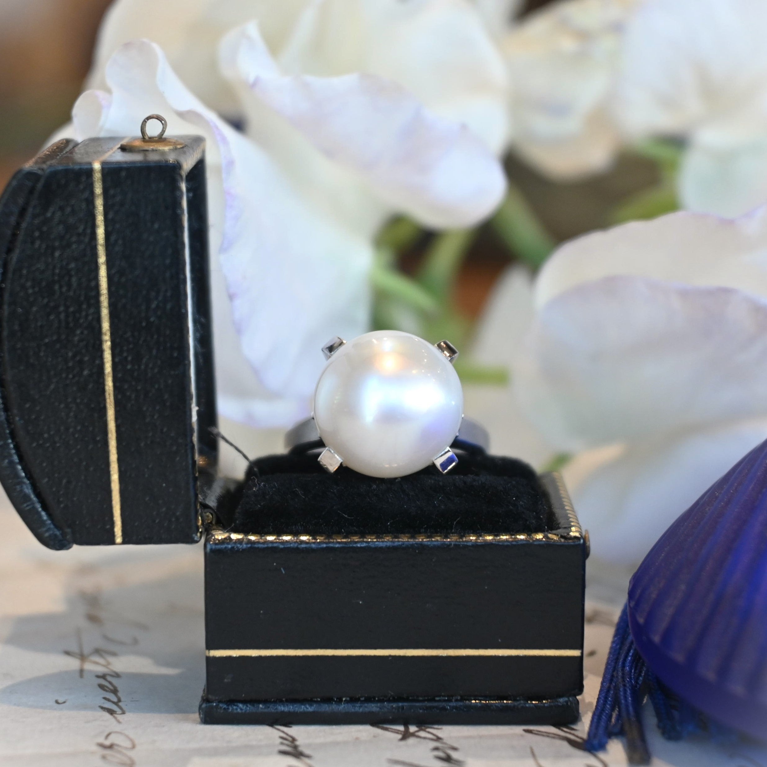 DSC_3812.jpg?v=1744177720