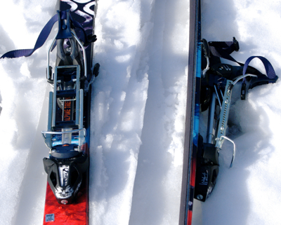 アルパイントレッカーとゲッコフリーライド | 六十過ぎてからの山里