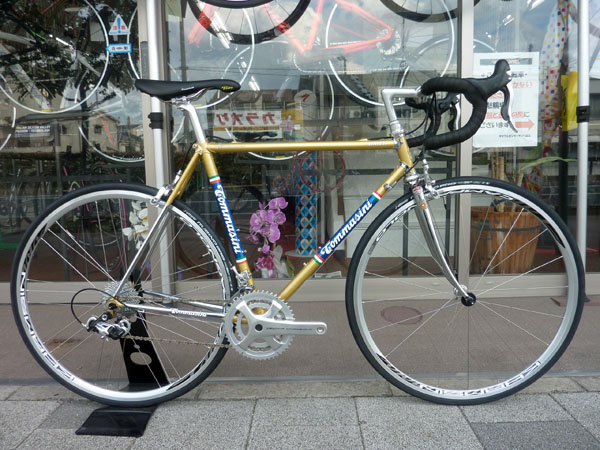 新作】トマジーニ シンテシー カンパ ケンタウル仕様 - サンワ