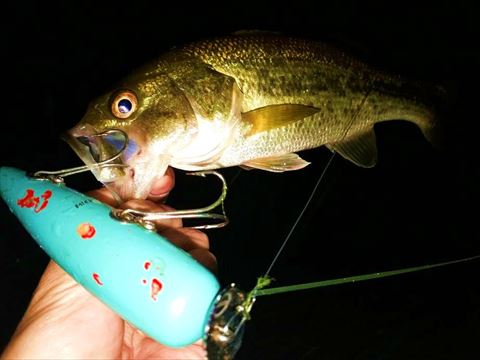 ベストショット2013