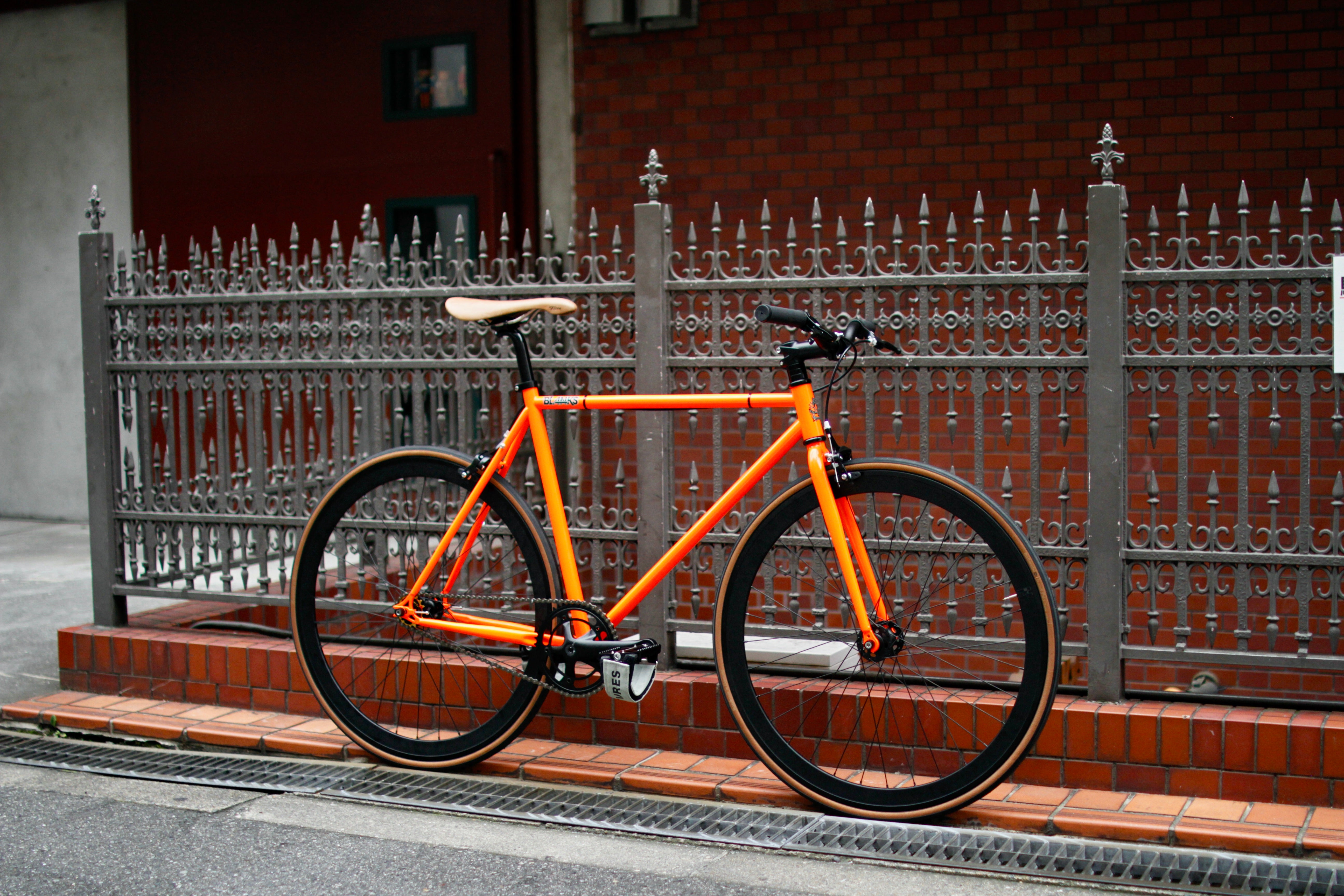 MG_5590.jpg?v=1688374396