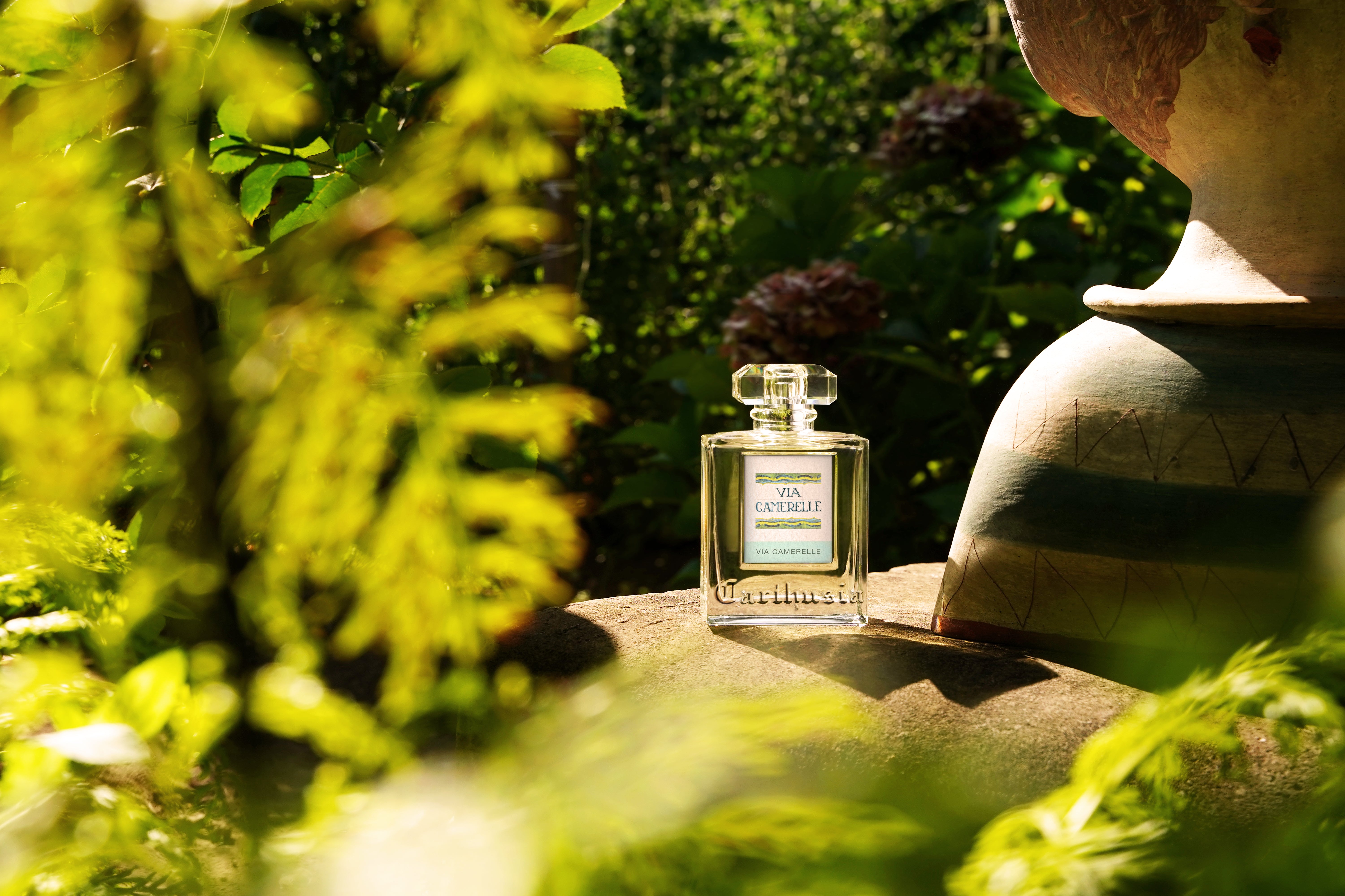 Via Camerelleヴィアカメレーレ – Carthusiaオンラインストア