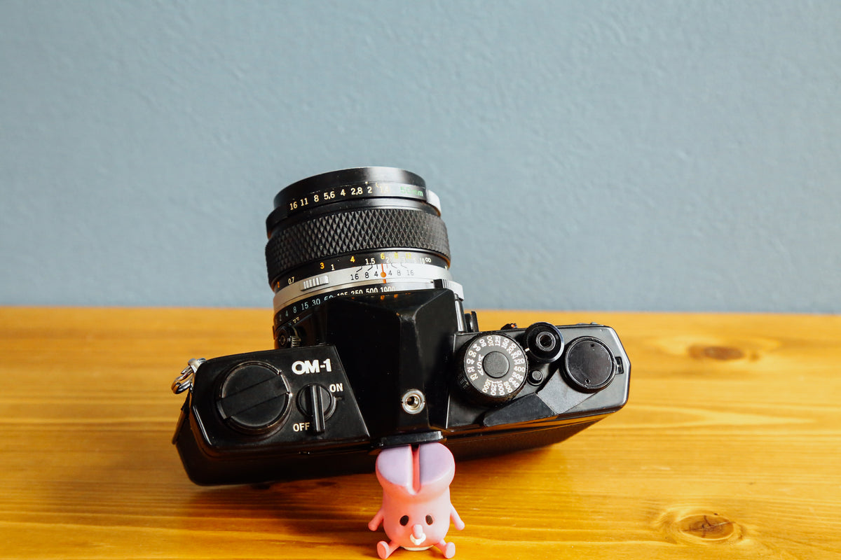 IMG_8769_1200x1200.jpg?v=