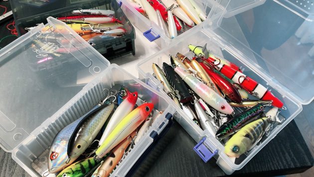 アマゾン釣行】ピーコックバス用ルアー、タックル備忘録 | 釣り針