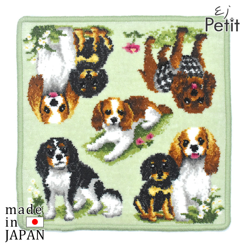 日本製 キャバリア ミックス犬 キャバグル キャバチー シェニール織