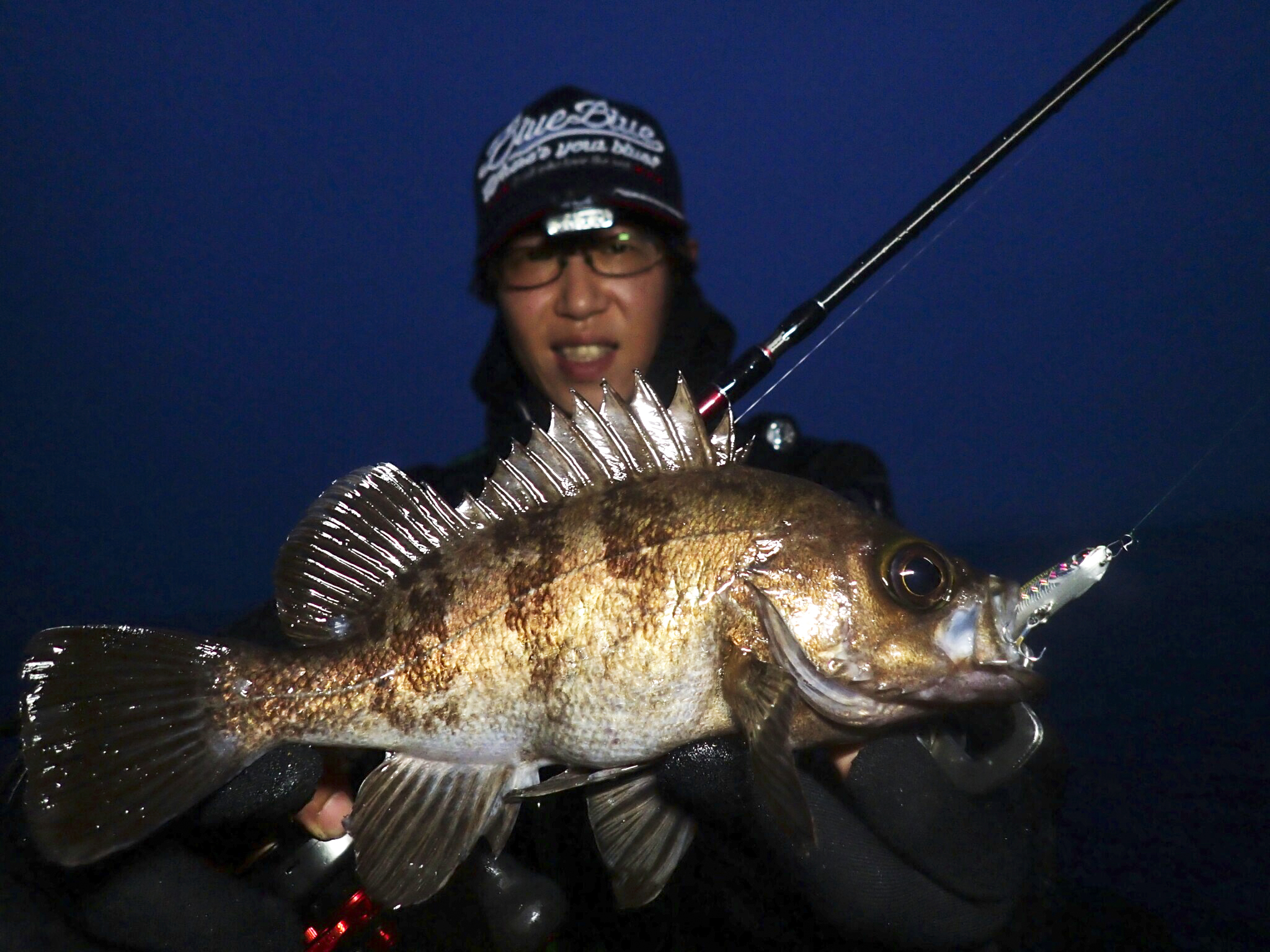 ビームス インテ 7.9 ulでハイシーズンを楽しむ。 - Fishman