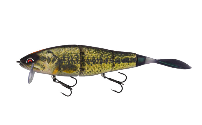 Grace210L – galapagos-fishing