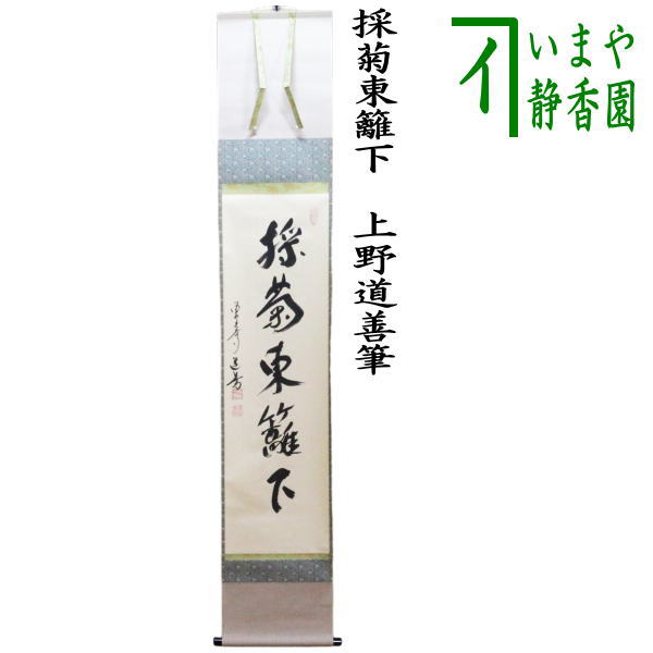 茶器/茶道具 掛軸（掛け軸）】 一行 採菊東籬下 上野道善筆 （東大寺