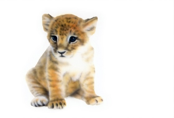 リアリズム絵画／動物の絵（動物イラスト）／ライオン／おすわりする