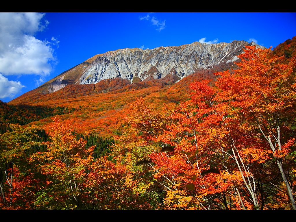 こころの風景コレクション【谷田穎郎 大山の紅葉（鍵掛峠）】60％お