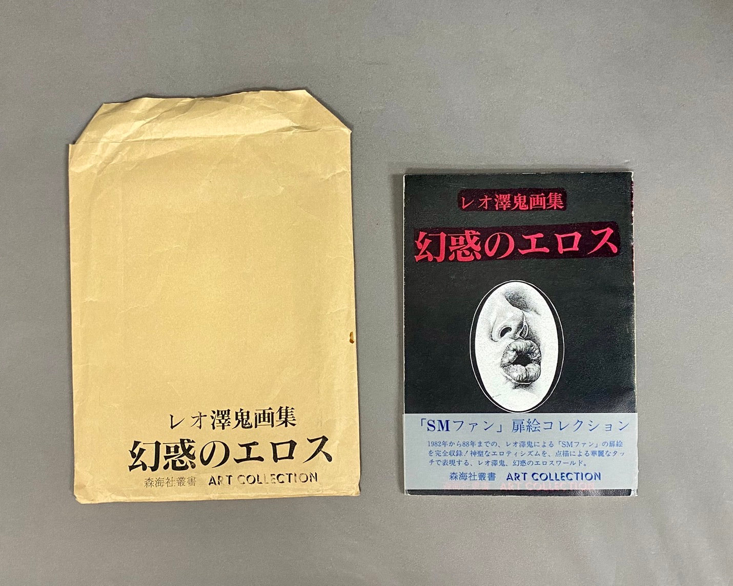 レオ澤鬼 画集 幻惑のエロス 森海社叢書 – 古書ドリス