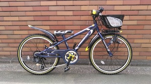 クロスファイヤージュニア 納車: シンワブログ