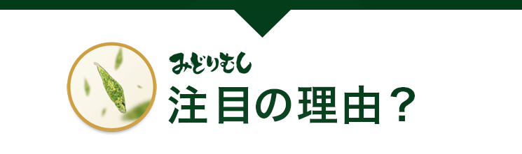 キングバイオ/みどりむしダイエット (60粒) | おなかカンパニーROTTS