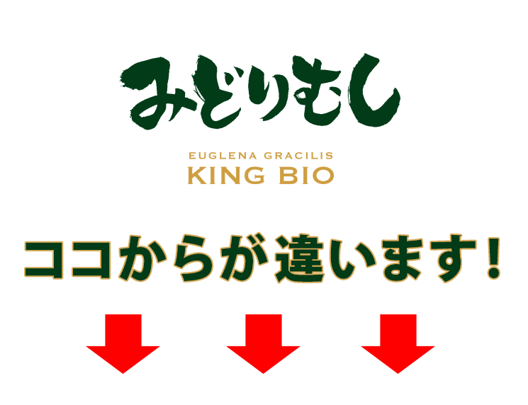 キングバイオ/みどりむしダイエット (60粒) | おなかカンパニーROTTS