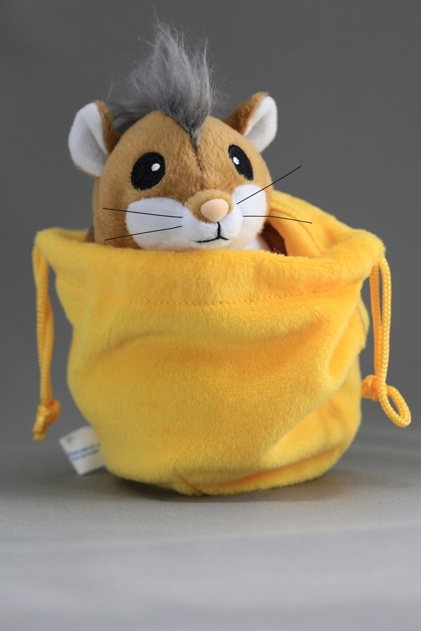 3DS版ドラゴンクエストⅧ 特典トーポ レビュー | ひろちゃんの趣味の部屋