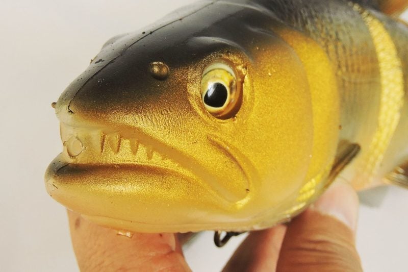 ご予約開始！サベージギアJAPAN/ラインスルートラウト 40cm