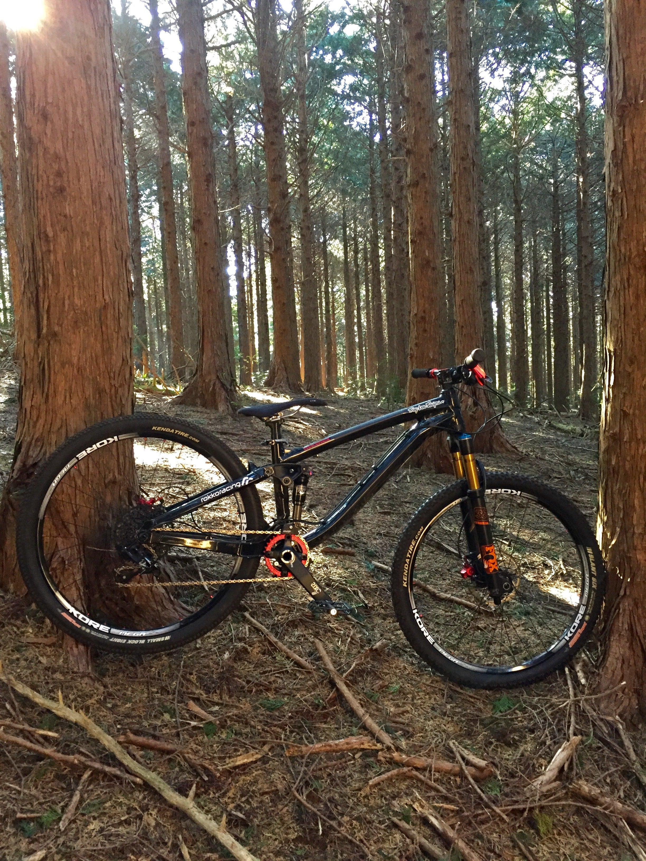 TREK Ticket S 】26インチのMTBは、日本の里山でとっても楽しい