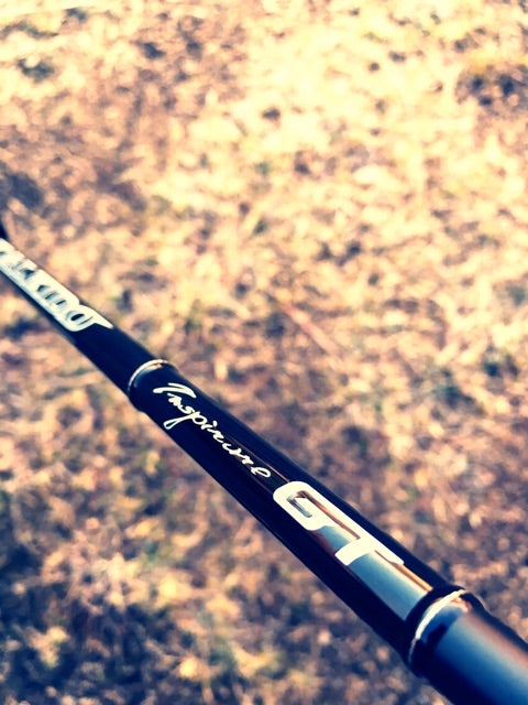 □□□ インスピラーレ コブラGT 座学編 □□□ | umalog