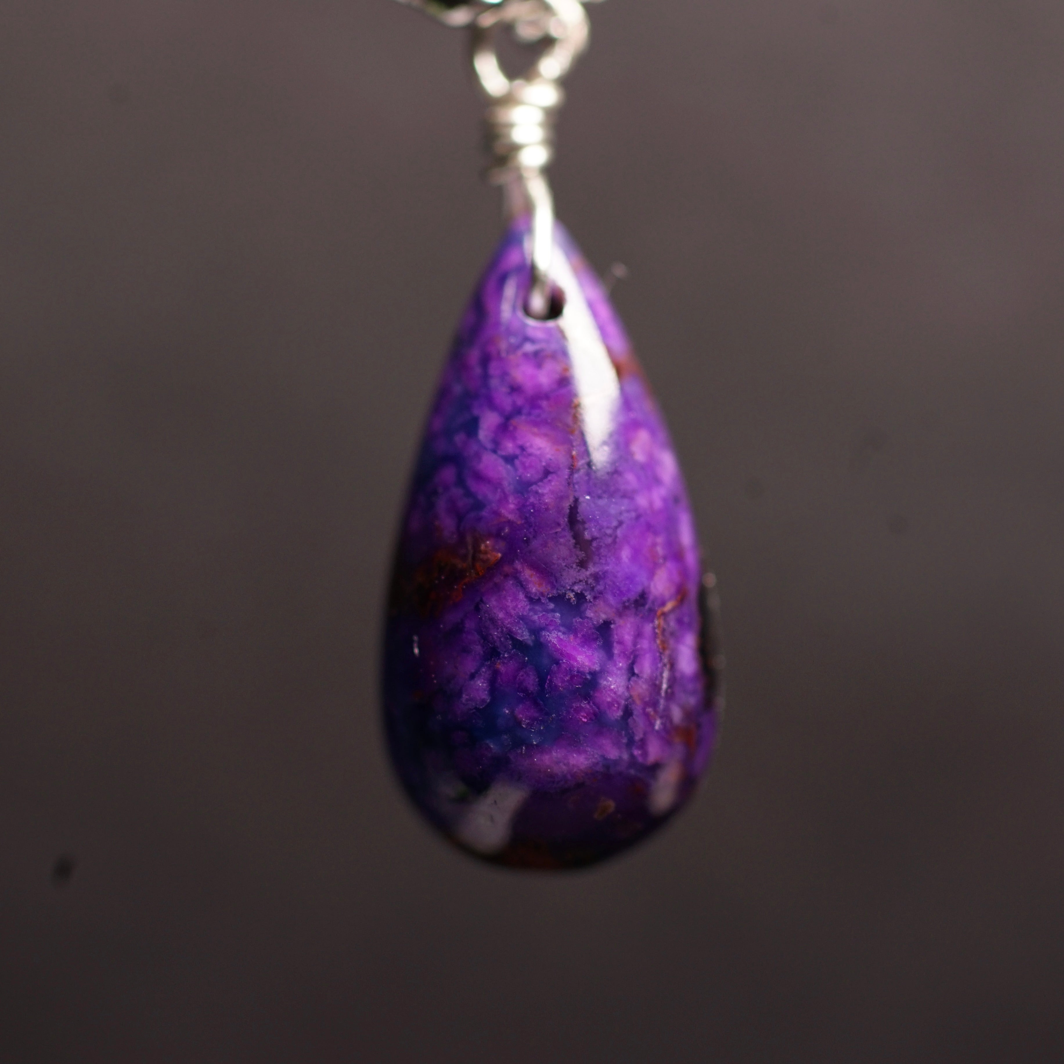 DSC01831.jpg?v=1672036001