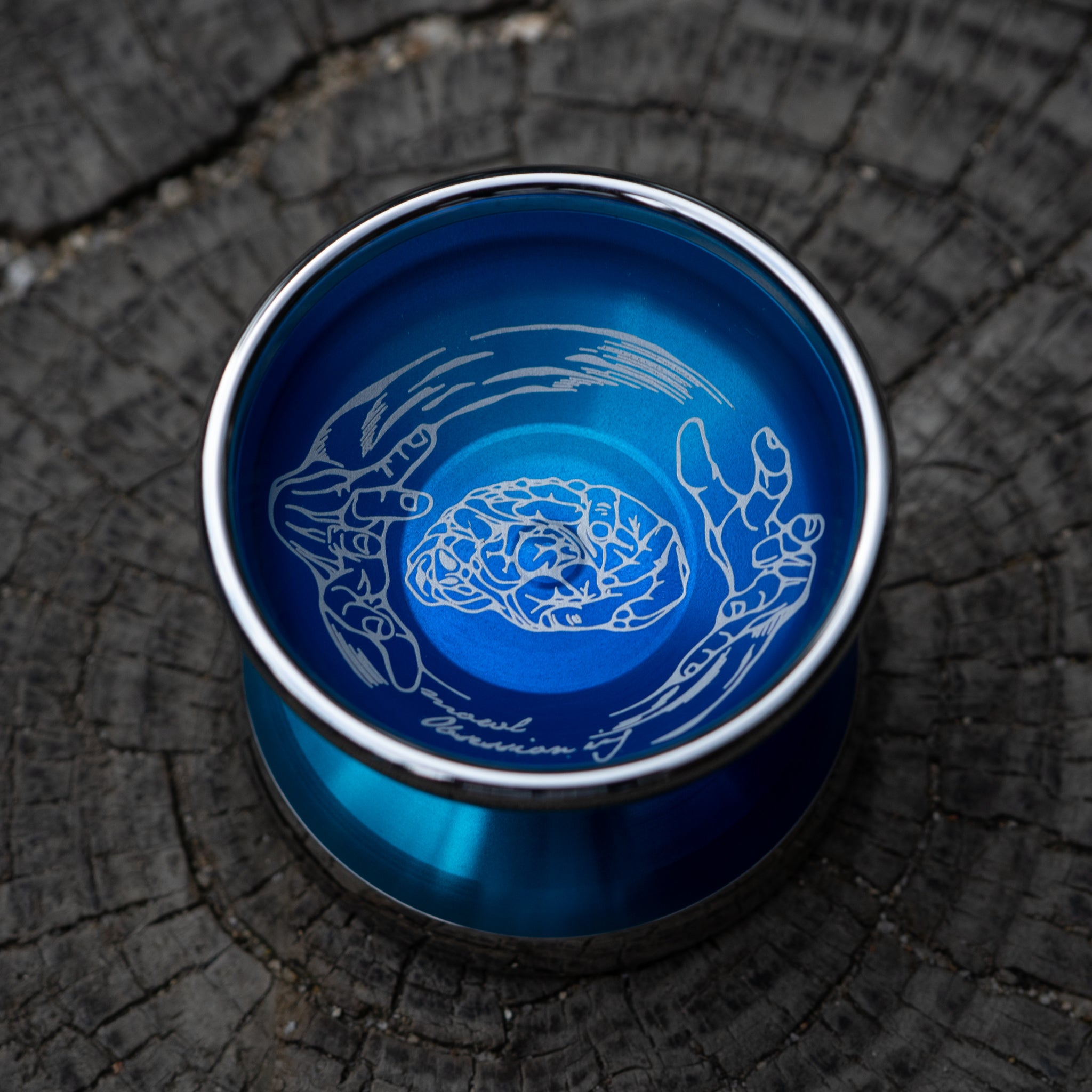 DSC03430-2.jpg?v=1654517482