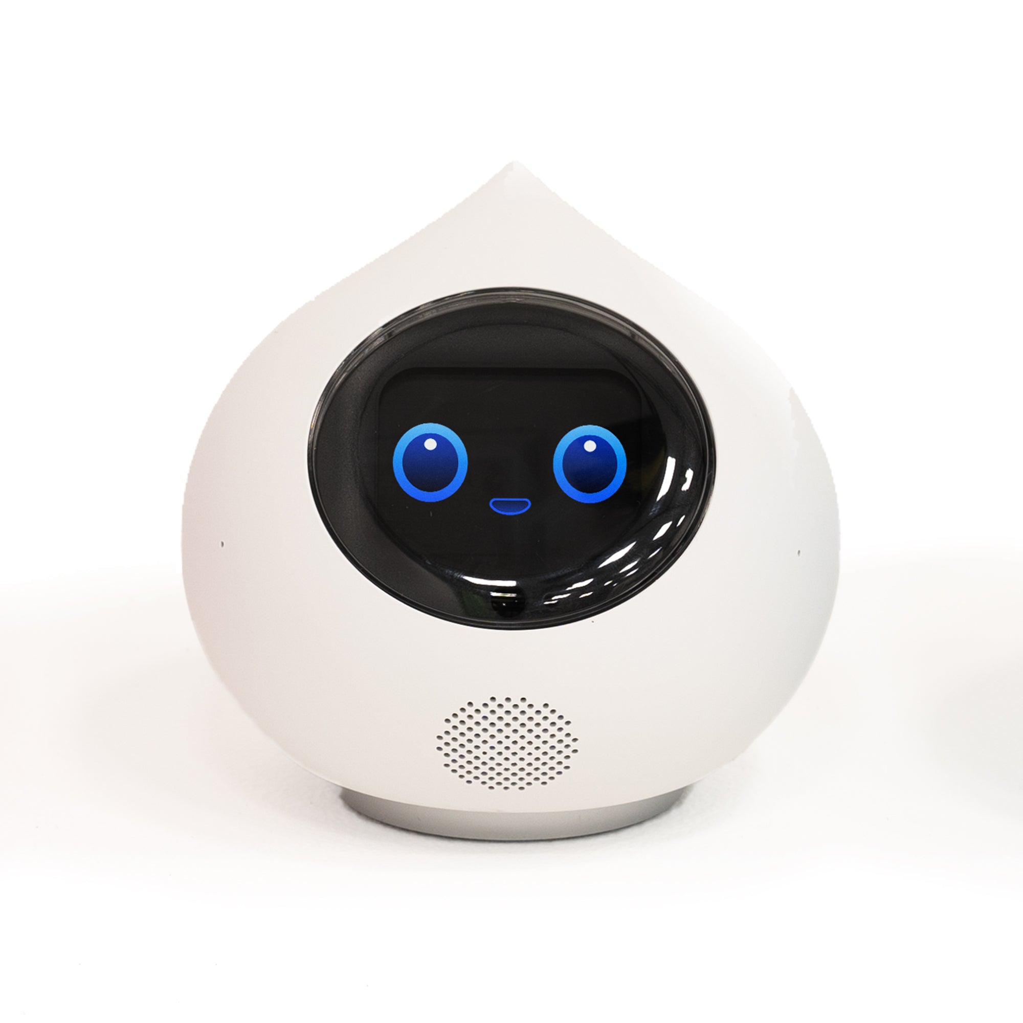 会話AIロボットRomi（Lacatanモデル） – Romiストア