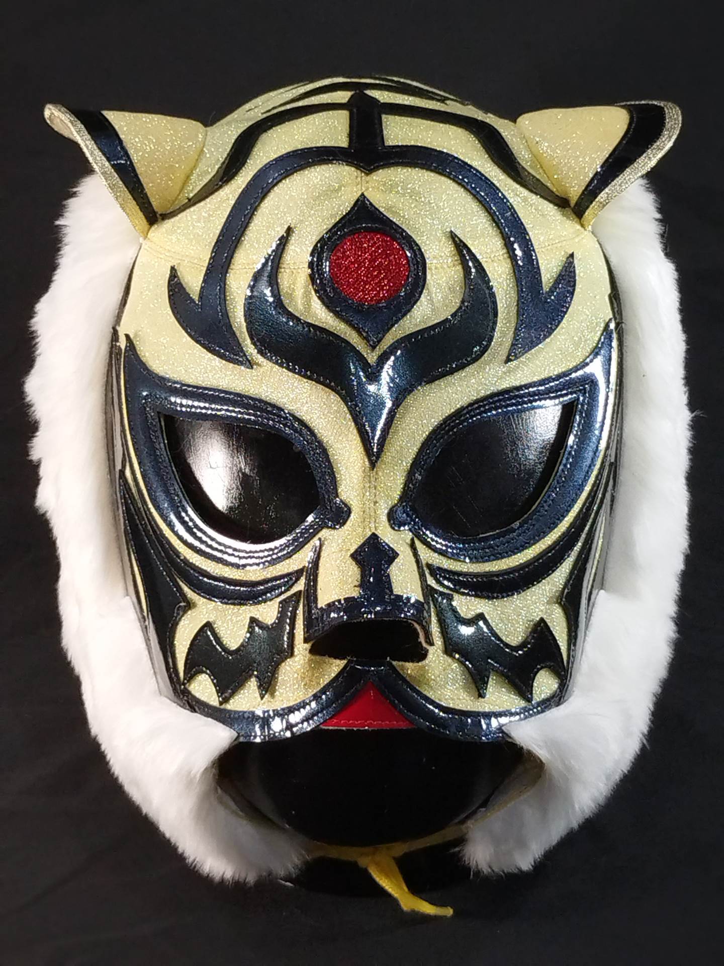 2代目タイガーマスク – 闘道館