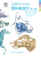 NEW LLL PUBLISHER 【世界動物病院協会】