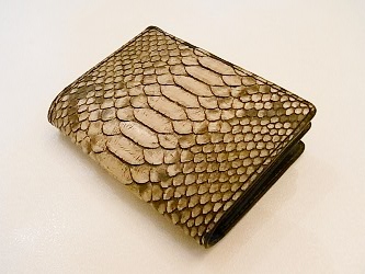 イサムカタヤマ バックラッシュ CALLING BACKLASH 369-01 パイソン