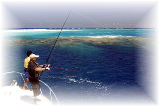 株式会社 カーペンター ルアー 釣り GTフィッシング 黒鮪 マグロ