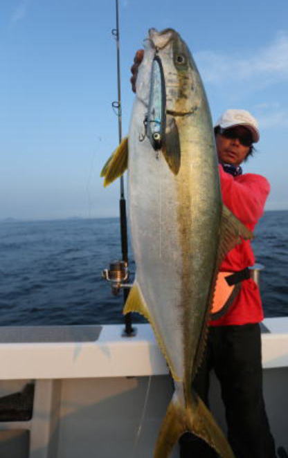 カーペンター BLC84／20 R－PM SC ブルーチェイサー