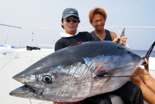 γ ブルーフィッシュ GT ロッド マグロ ヒラマサ