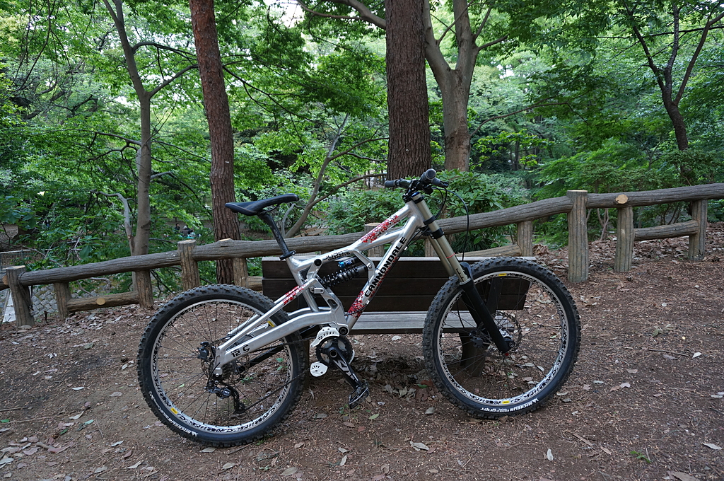 Cannondale Judge | ICOの秘密