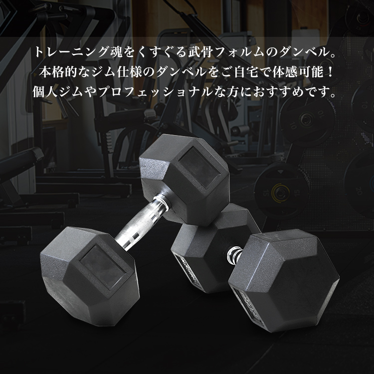 6角形プレート ダンベル セット 30kg (単品)(2個セット)(送料無料
