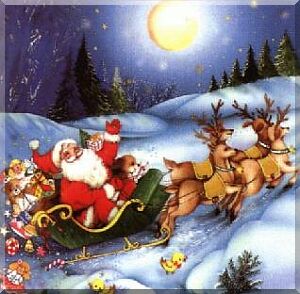 トナカイの秘密