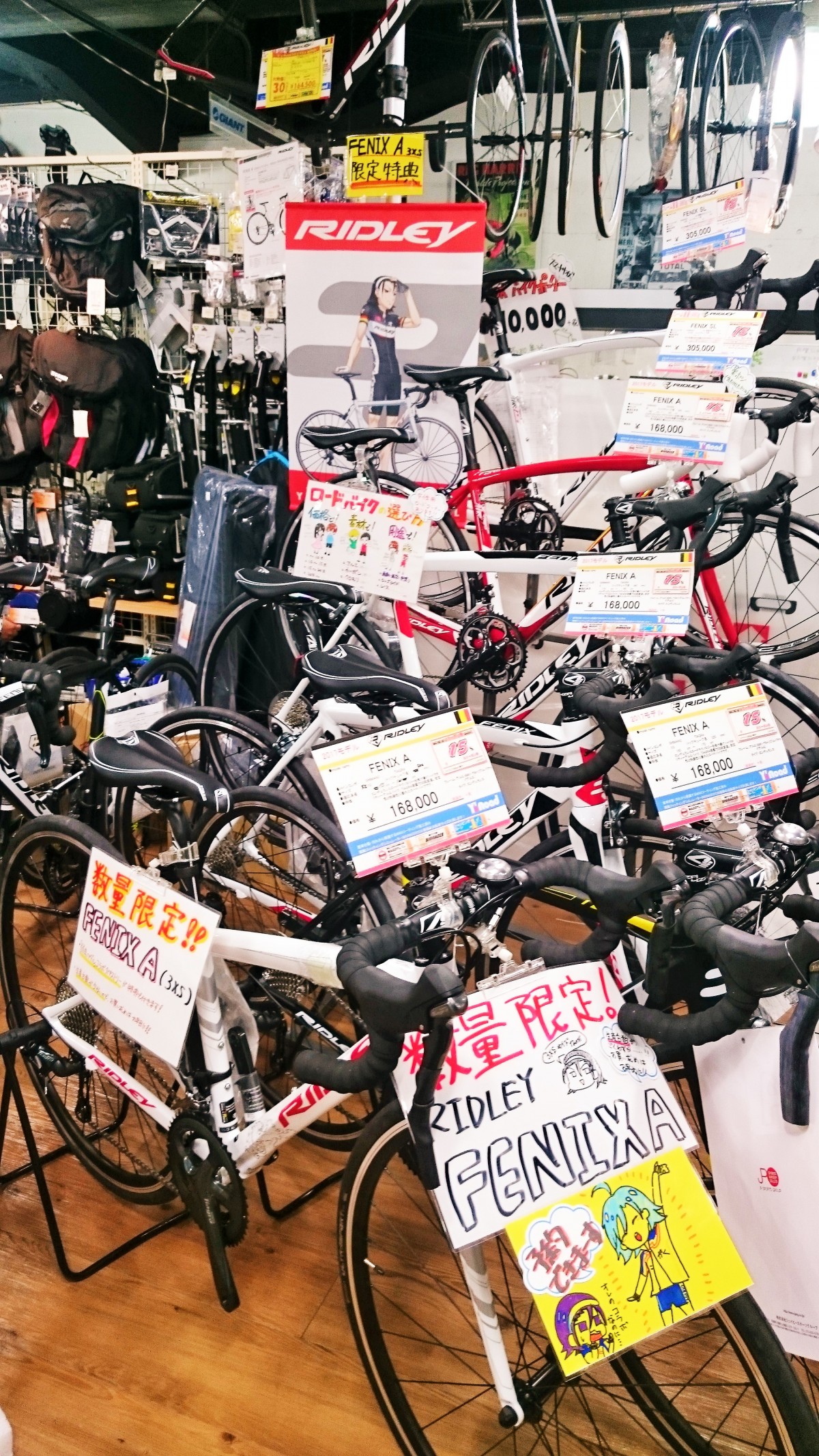 2017年モデル】弱ペダコラボ車ありますよ！ | 新宿でスポーツサイクル