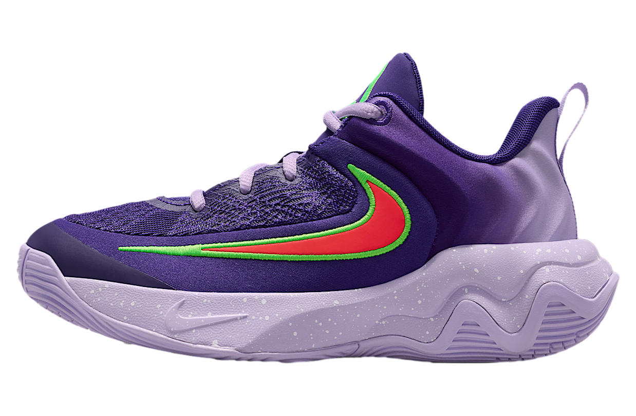 Nike Giannis Immortality 4 GS Court Purple / Hydrangeas - Oct 2025