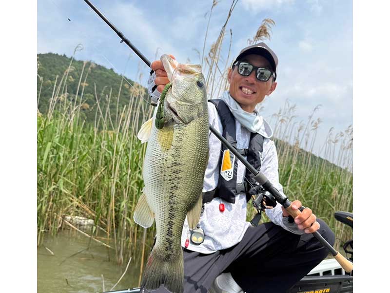 タトゥーラ(ロッド)｜DAIWA