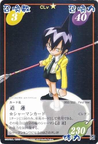 カード種類「シャーマン」(17 枚)｜シャーマンキング 超・占事略決