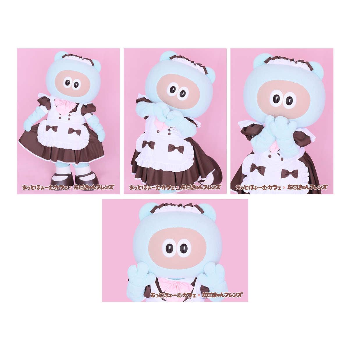 あっとほぉーむカフェ×たぬきゅんフレンズ】たぬきゅんブロマイド