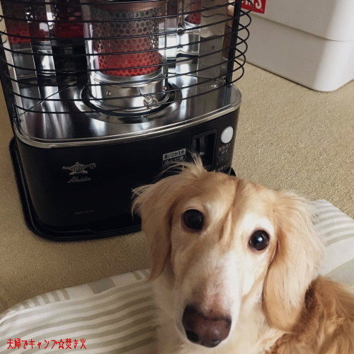 Aladdin 石油ストーブ AKP-S248 2021年製 日本エー・アイ・シー Aladdin AKP-S248 価格比較 - 価格.com