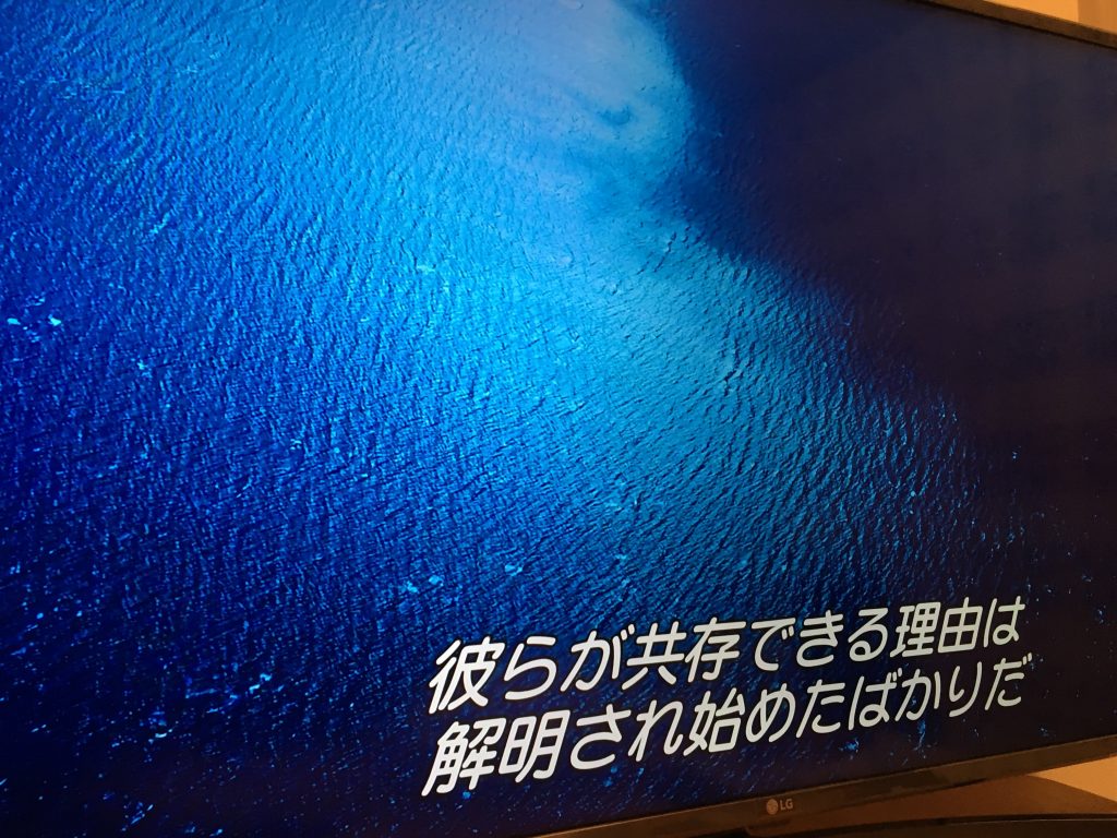 LGの43V型4Kテレビの購入レビュー（43UK6500EJD） | Tech Memo