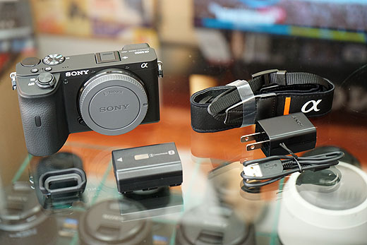 APS-Cミラーレス一眼のフラグシップモデル『α6600』総まとめレビュー