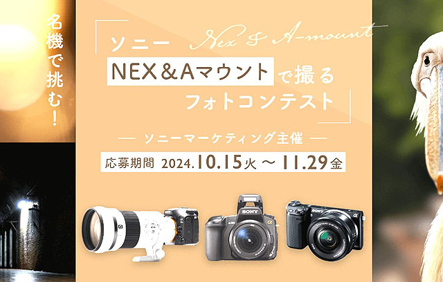 お子様の成長記録を綺麗に❤️SONY α550 セット✨高倍率レンズ すぐ