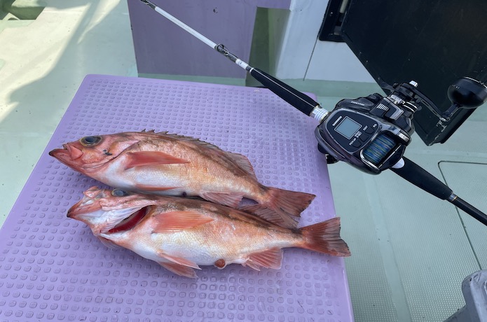 インプレ】万能船竿！「シマノ ライトゲーム リミテッド モデラート