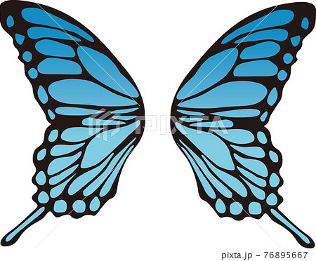 蝶の羽 カラー素材のイラスト素材 [76895667] - PIXTA